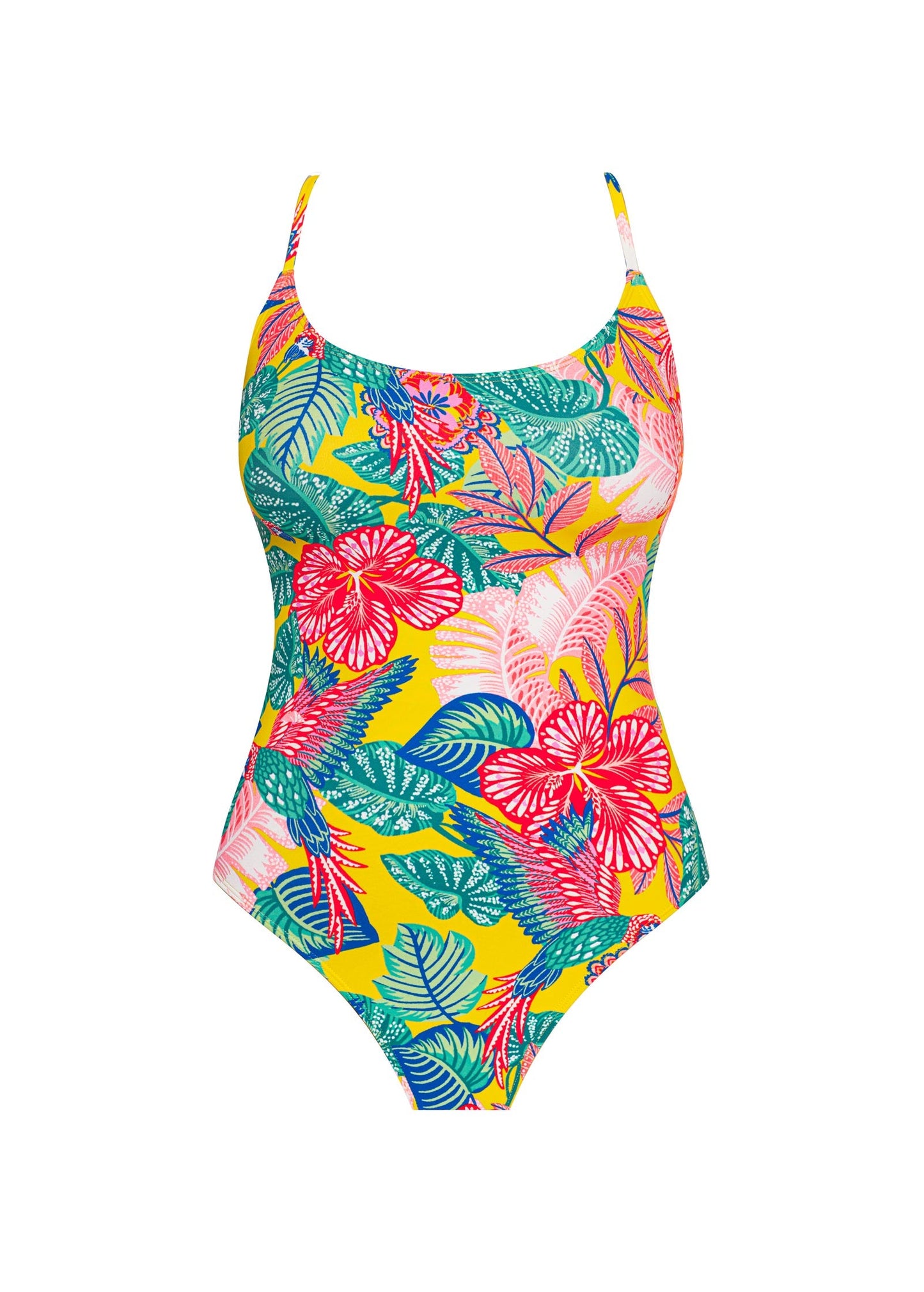 Bondi One-Piece Swimsuit Paradise | Venus Popular Choice