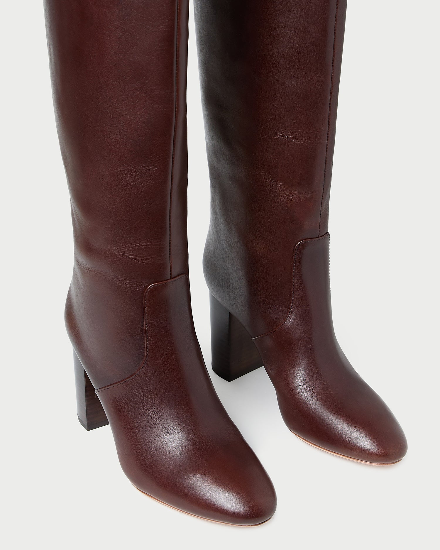 Loeffler Randall Women / Goldy Espresso Leather Tall Boot