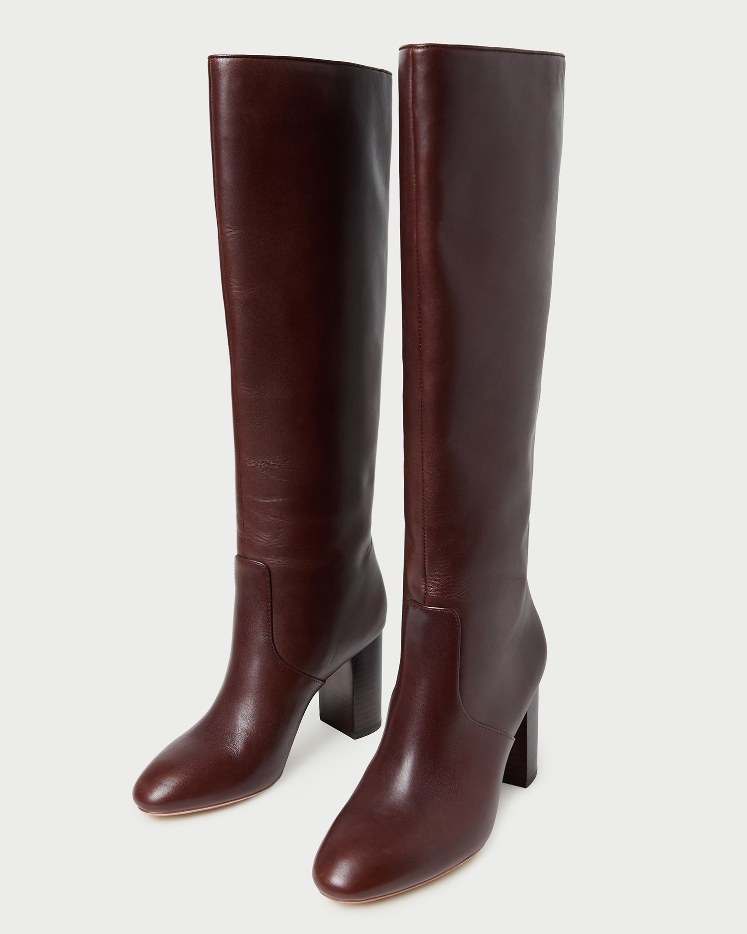 Loeffler Randall Women / Goldy Espresso Leather Tall Boot