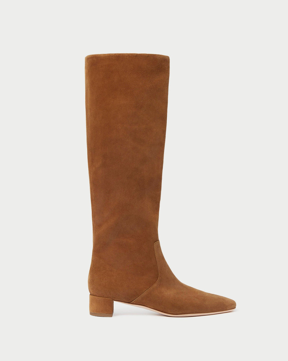 Loeffler Randall Women / Indy Cacao Suede Tall Boot