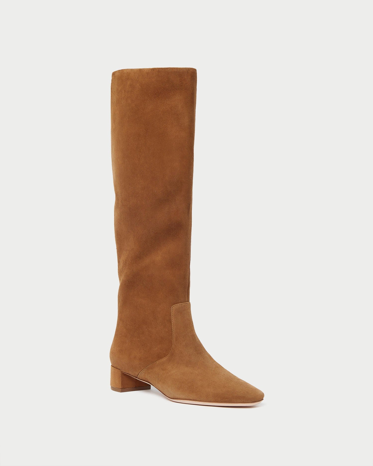 Loeffler Randall Women / Indy Cacao Suede Tall Boot