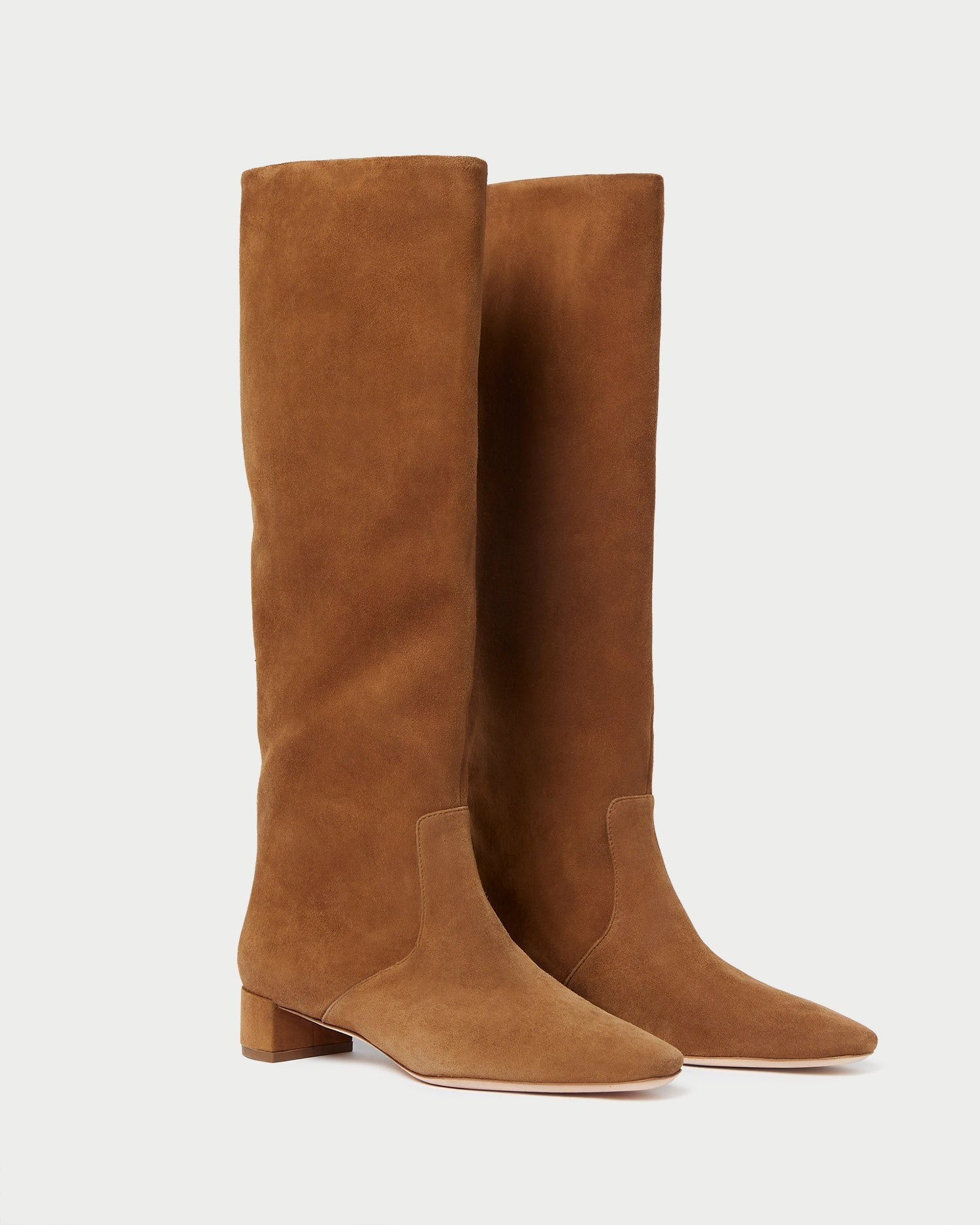 Loeffler Randall Women / Indy Cacao Suede Tall Boot
