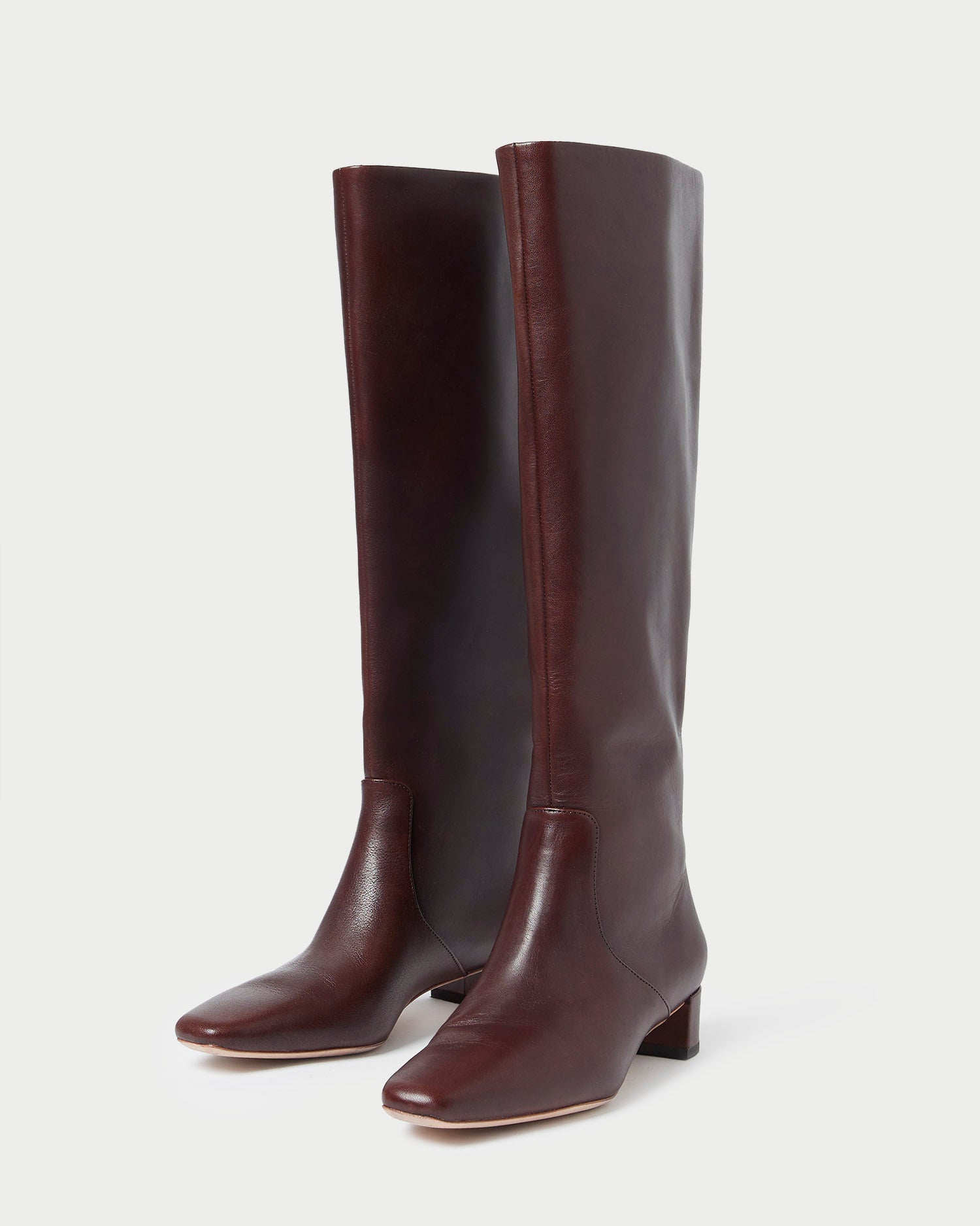 Loeffler Randall Women / Indy Espresso Leather Tall Boot