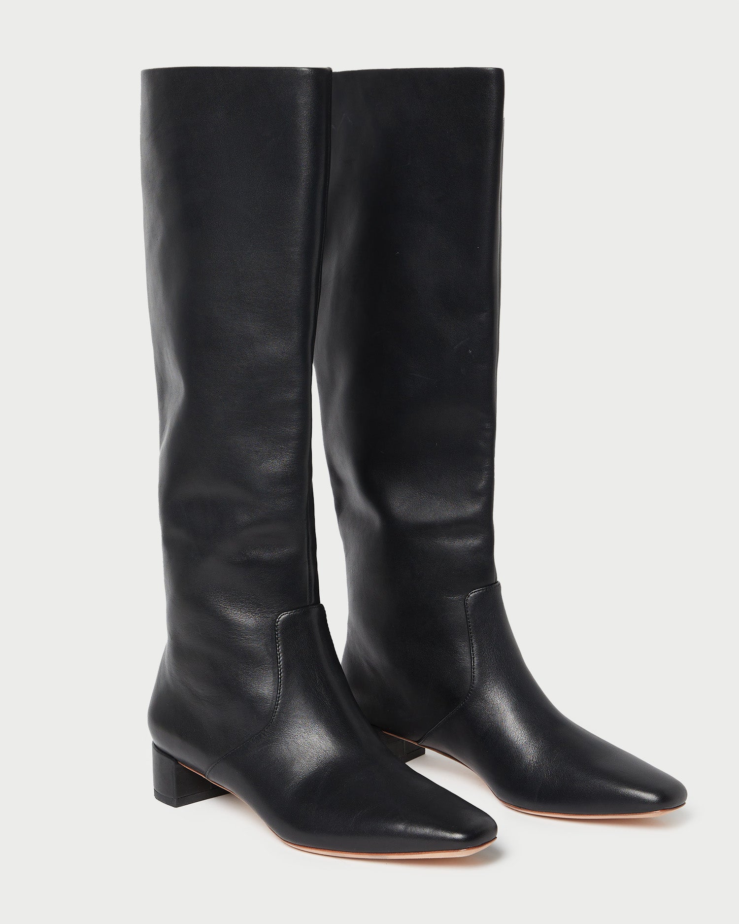 Loeffler Randall Women / Indy Black Leather Tall Boot