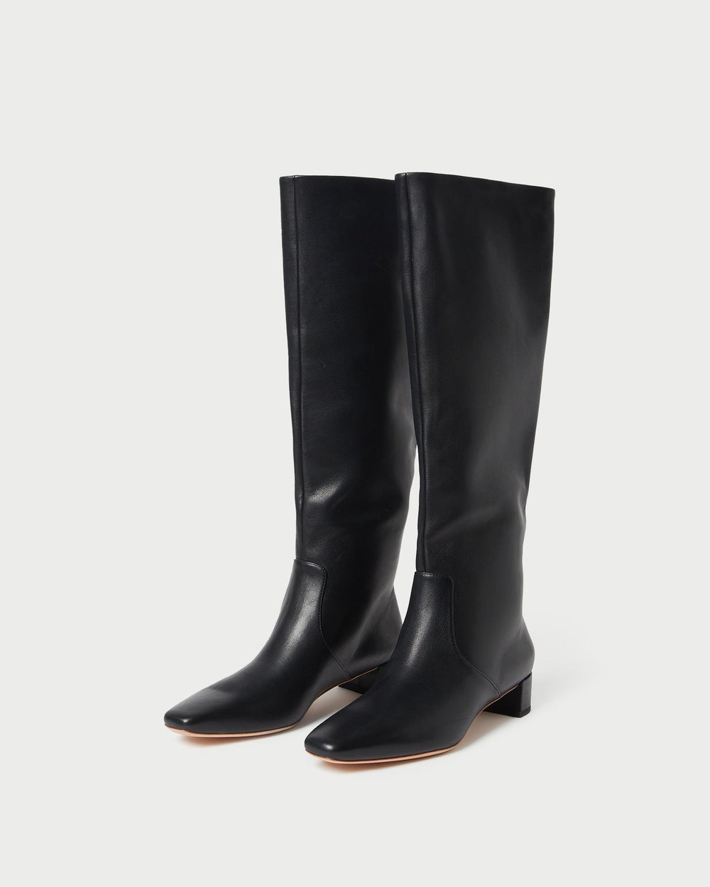 Loeffler Randall Women / Indy Black Leather Tall Boot