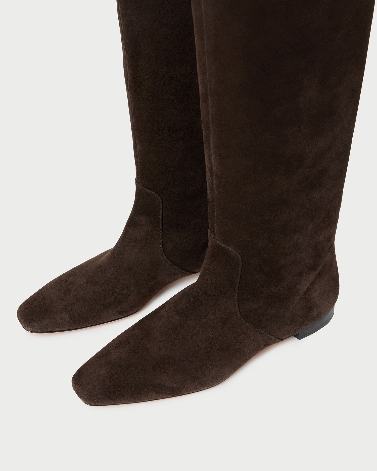 Loeffler Randall Women / Lillian Brown Suede Tall Boot