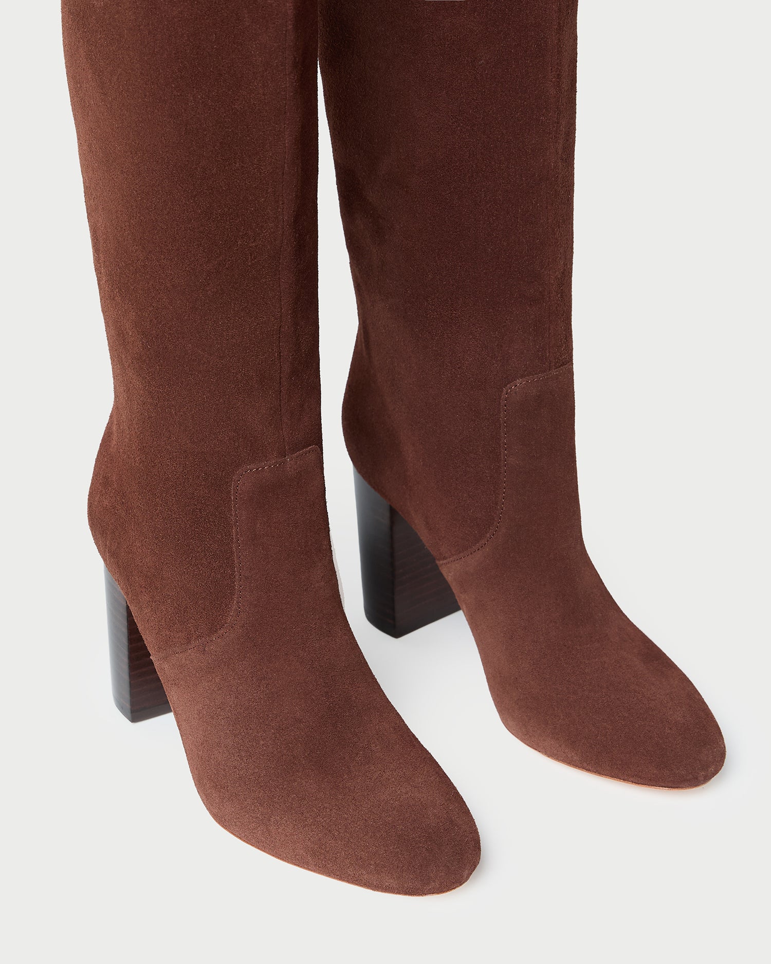 Loeffler Randall Women / Goldy Espresso Suede Tall Boot