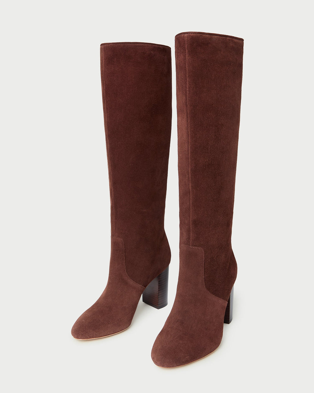 Loeffler Randall Women / Goldy Espresso Suede Tall Boot
