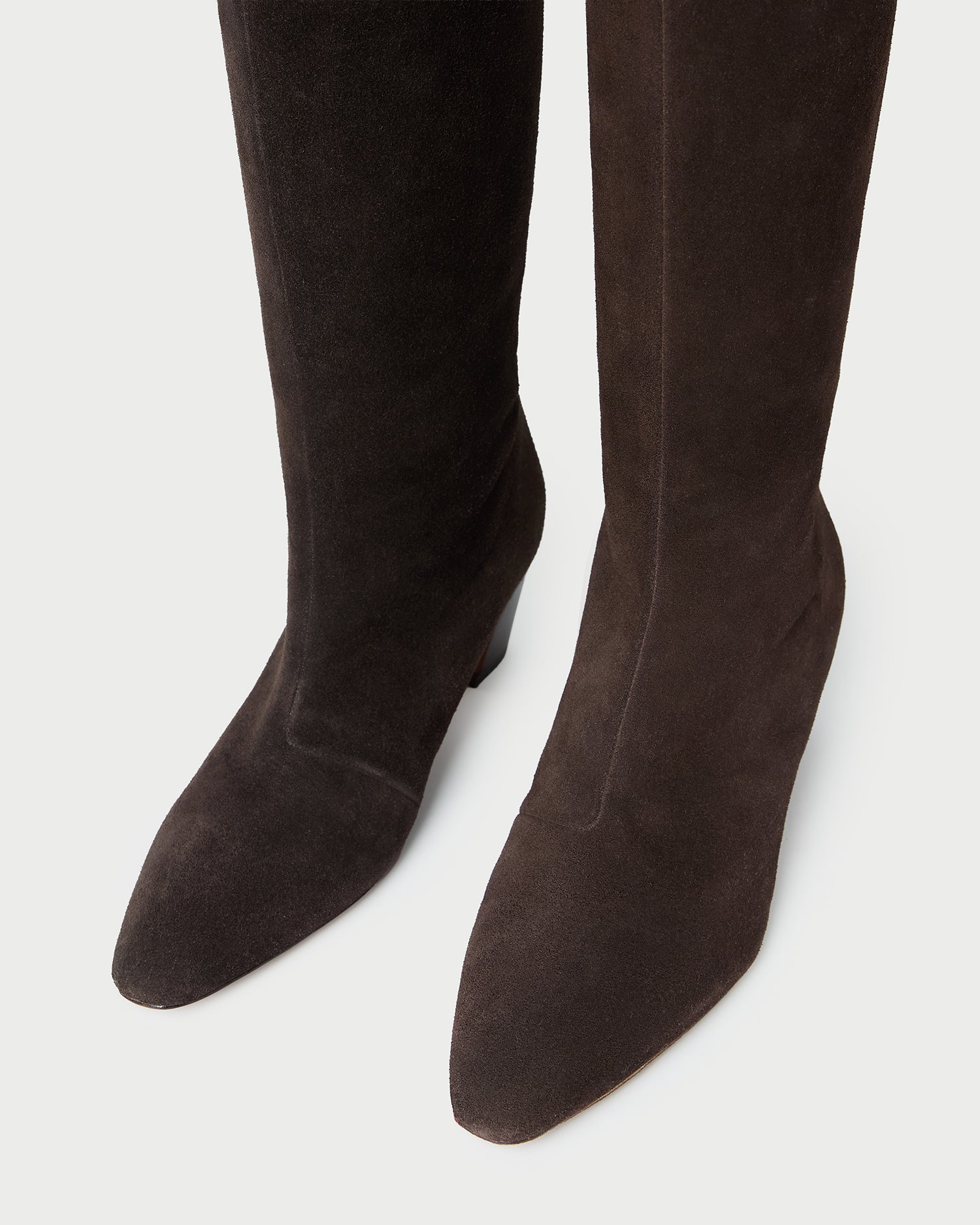 Loeffler Randall Women / Marley Brown Suede Tall Boot